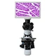6.0MP LCD Digital Biological Microscope